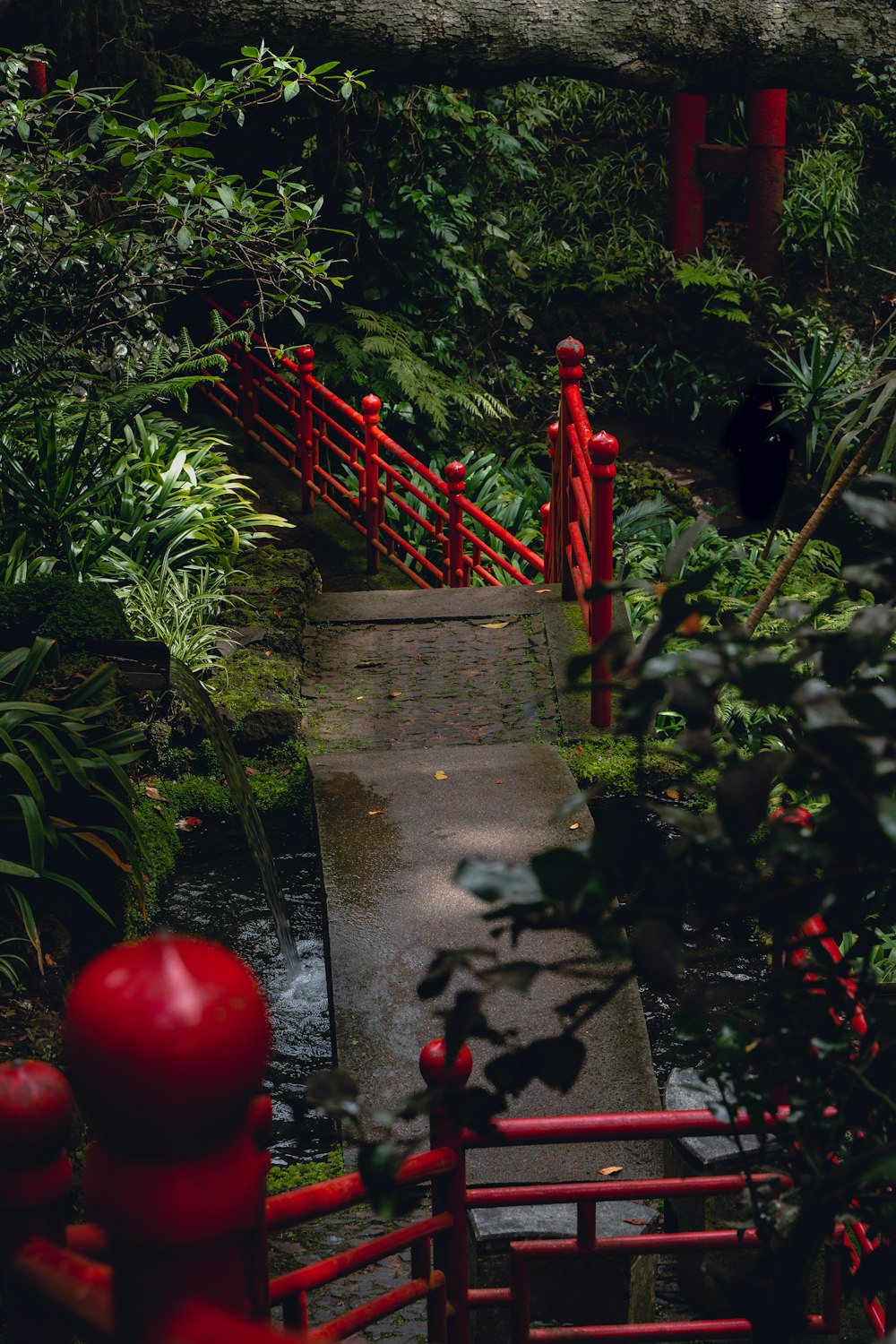 a red bridge in the middle of a lush green forest