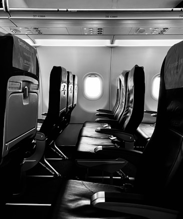 Monochrome image of a modern airplane cabin highlighting empty dark leather seats aligned in rows, with windows allowing natural light to stream in, creating sharp contrasts. Overhead compartments are visible, and the overall scene is calm and vacant.