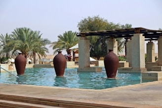 a pool with a few large vases in it