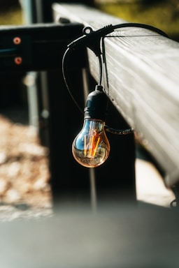A vintage-style light bulb hangs from a thick cable attached to a wooden structure. The bulb is unlit, and the filaments inside are clearly visible. The setting appears to be outdoors with natural light illuminating the scene. The focus is on the bulb, which contrasts against a blurred background.