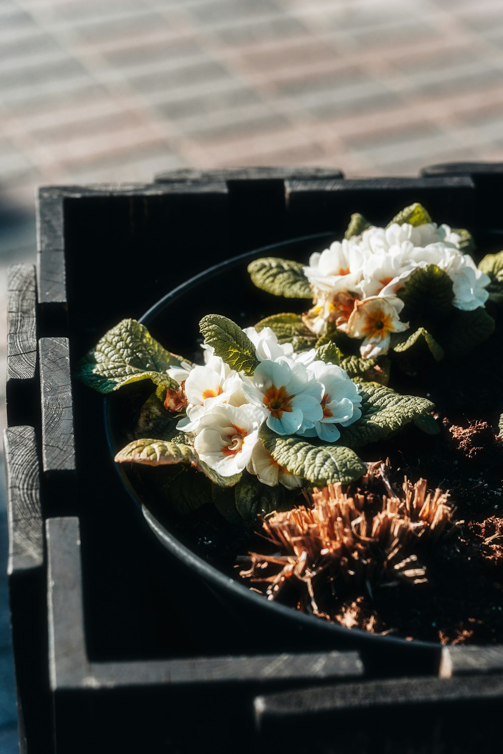 a black plate with white and orange flowers in it