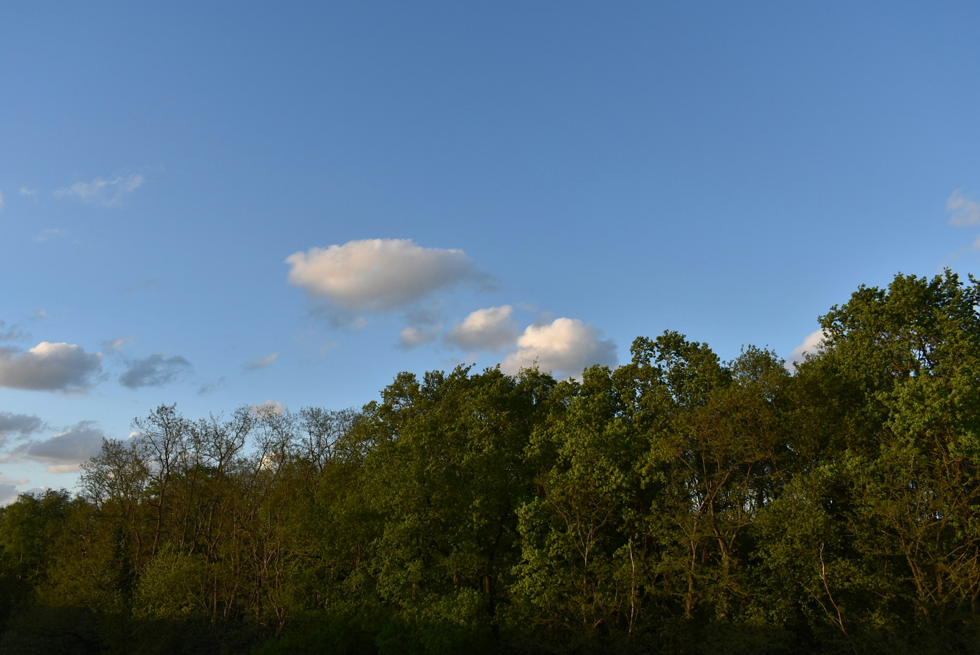 gray computer monitor