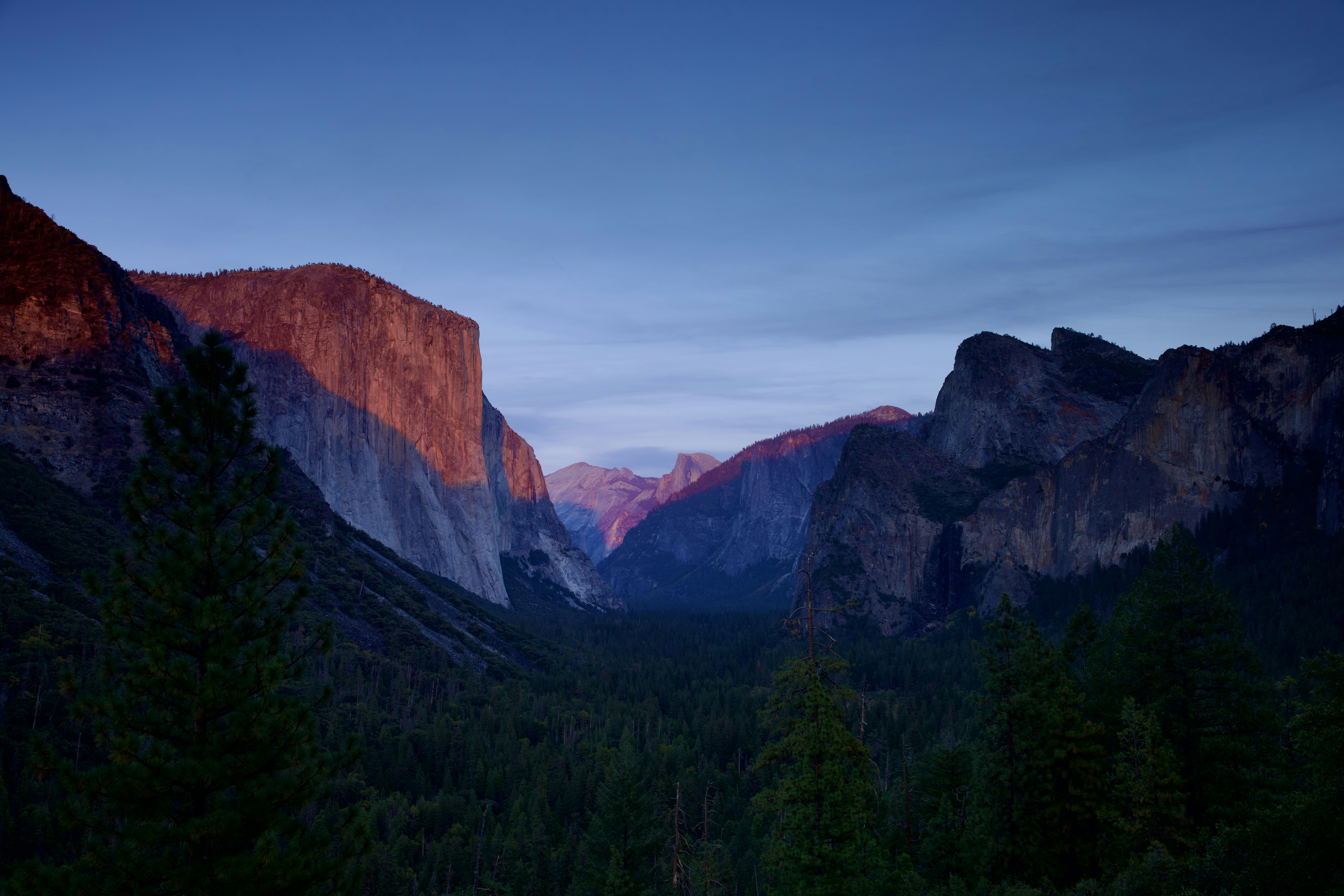 a view of a mountain range with trees in the foreground, Alpenglow on El Capitan and Half Dome in Yosemite