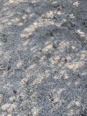 Freshly excavated terrain with clear, precise leveling marks under natural sunlight.