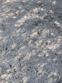 Freshly excavated terrain with clear, precise leveling marks under natural sunlight.