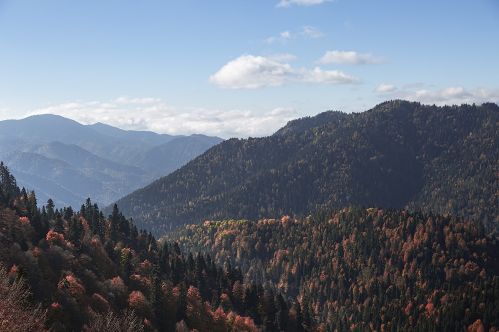 une vue d’une chaîne de montagnes avec des arbres au premier plan