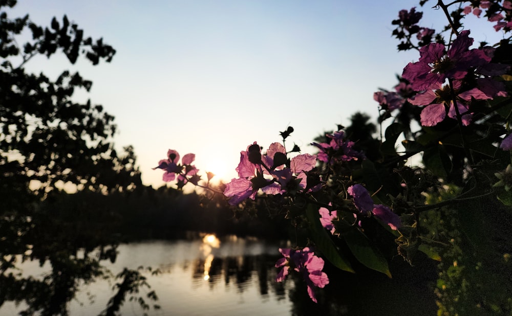 the sun is setting over a body of water