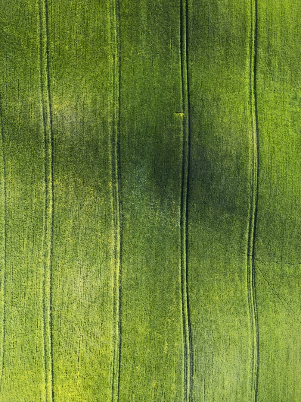 a close up view of a green grass field