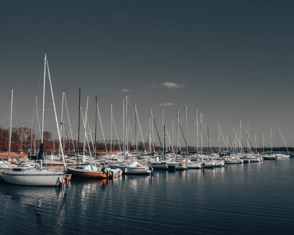 Marina full of sailboats at the slips