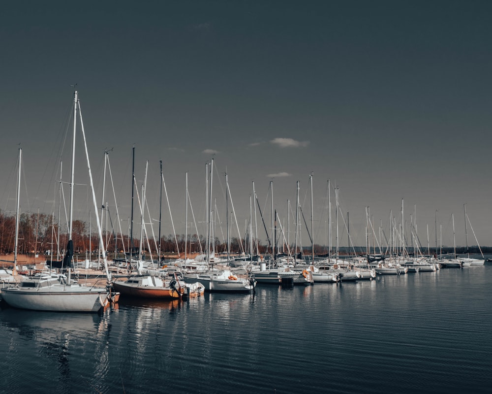 a bunch of boats that are sitting in the water