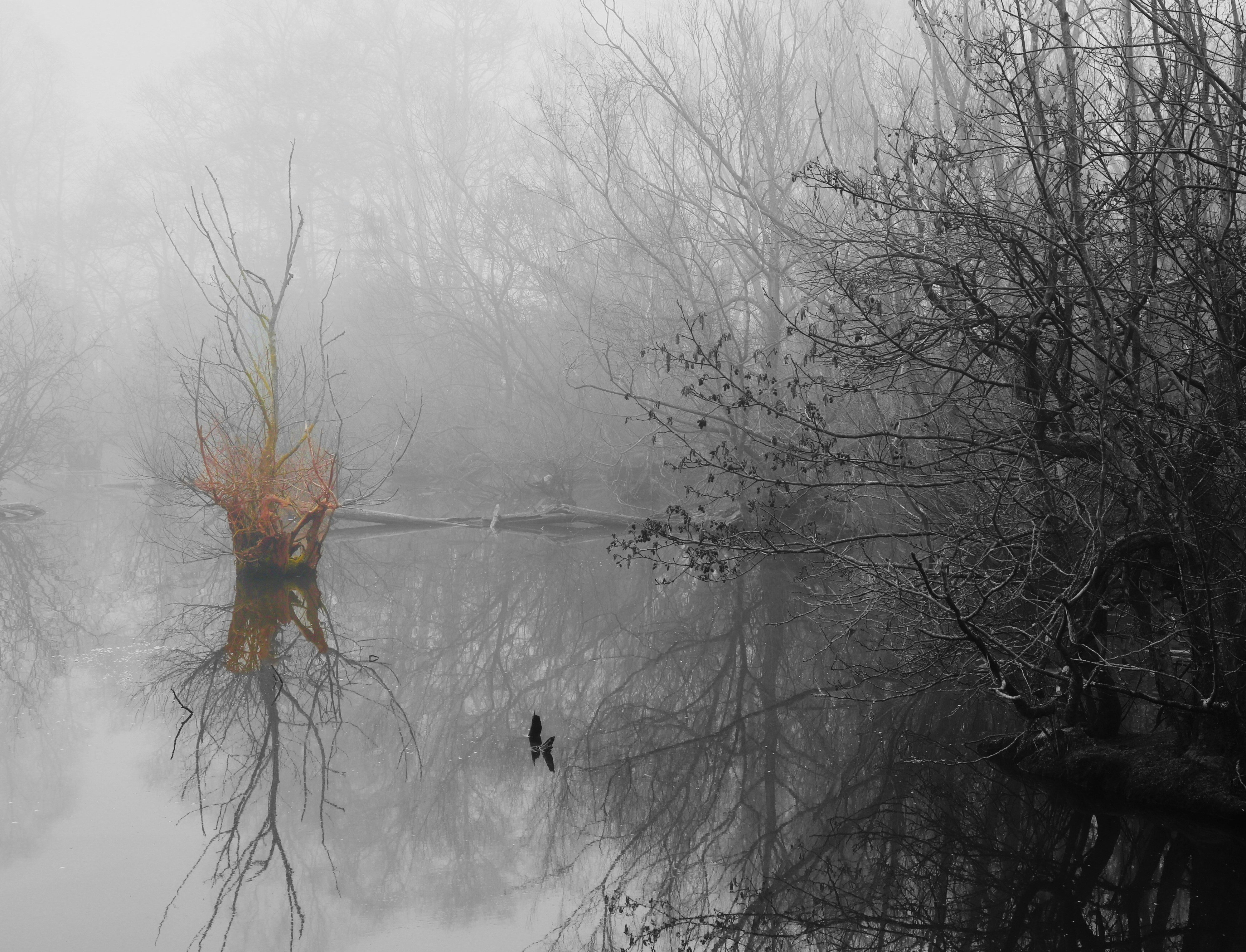 Photo by puffinadventures