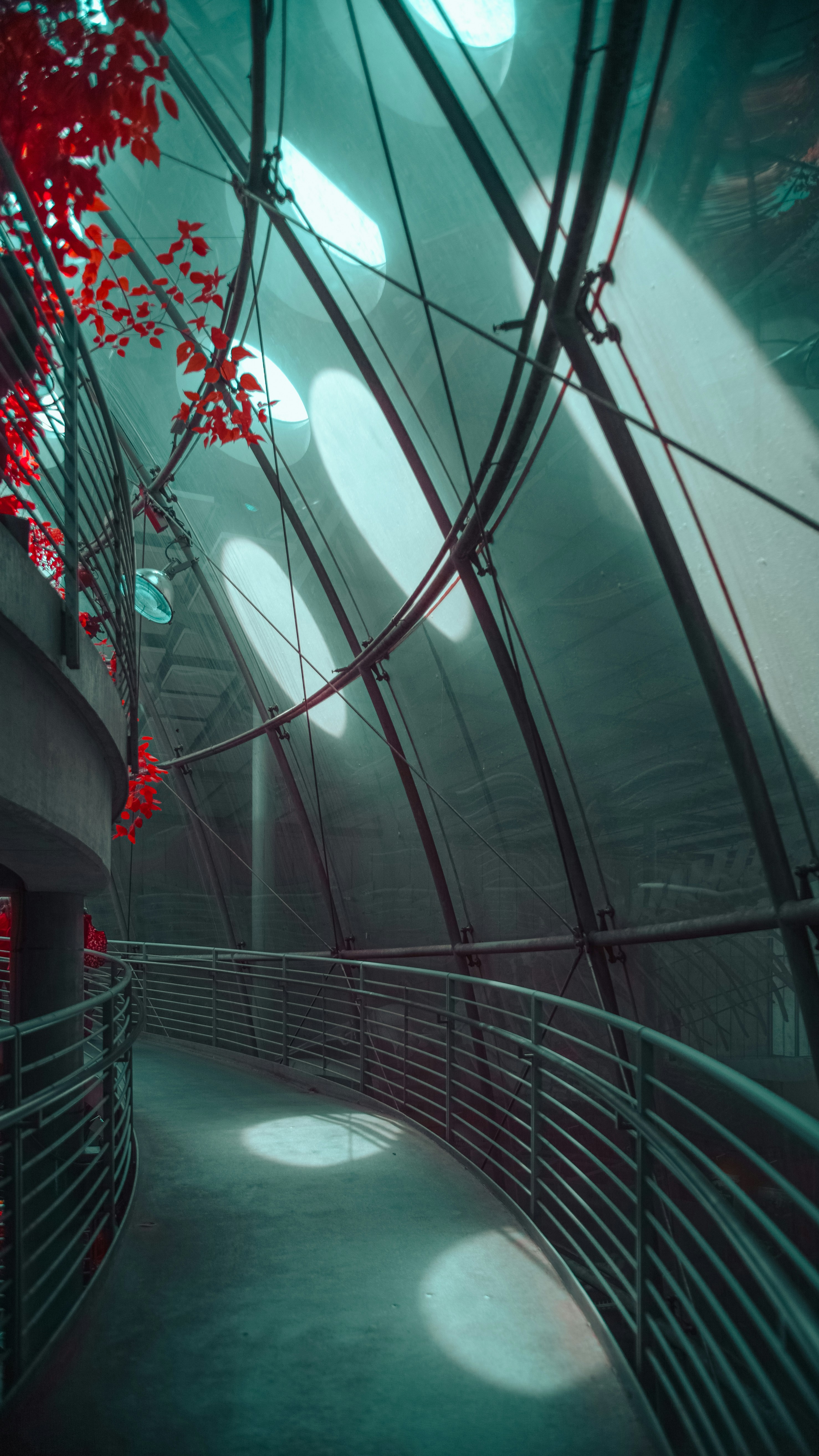 The path to the top of Osher Rainforest at the California Academy of Sciences in IR chrome with lights