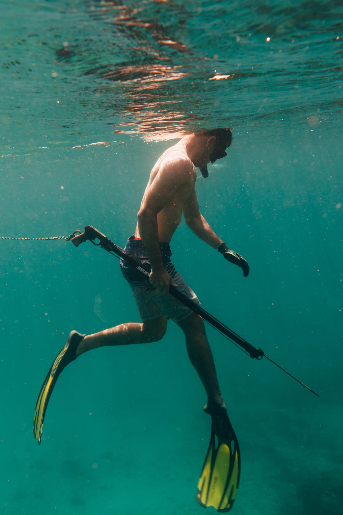 Equipo de apnea: aletas y boya