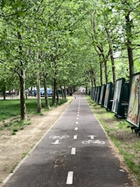 a bike path with trees lining the sides of it