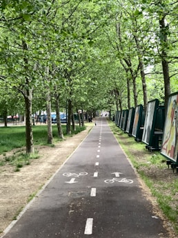 a bike path with trees lining the sides of it