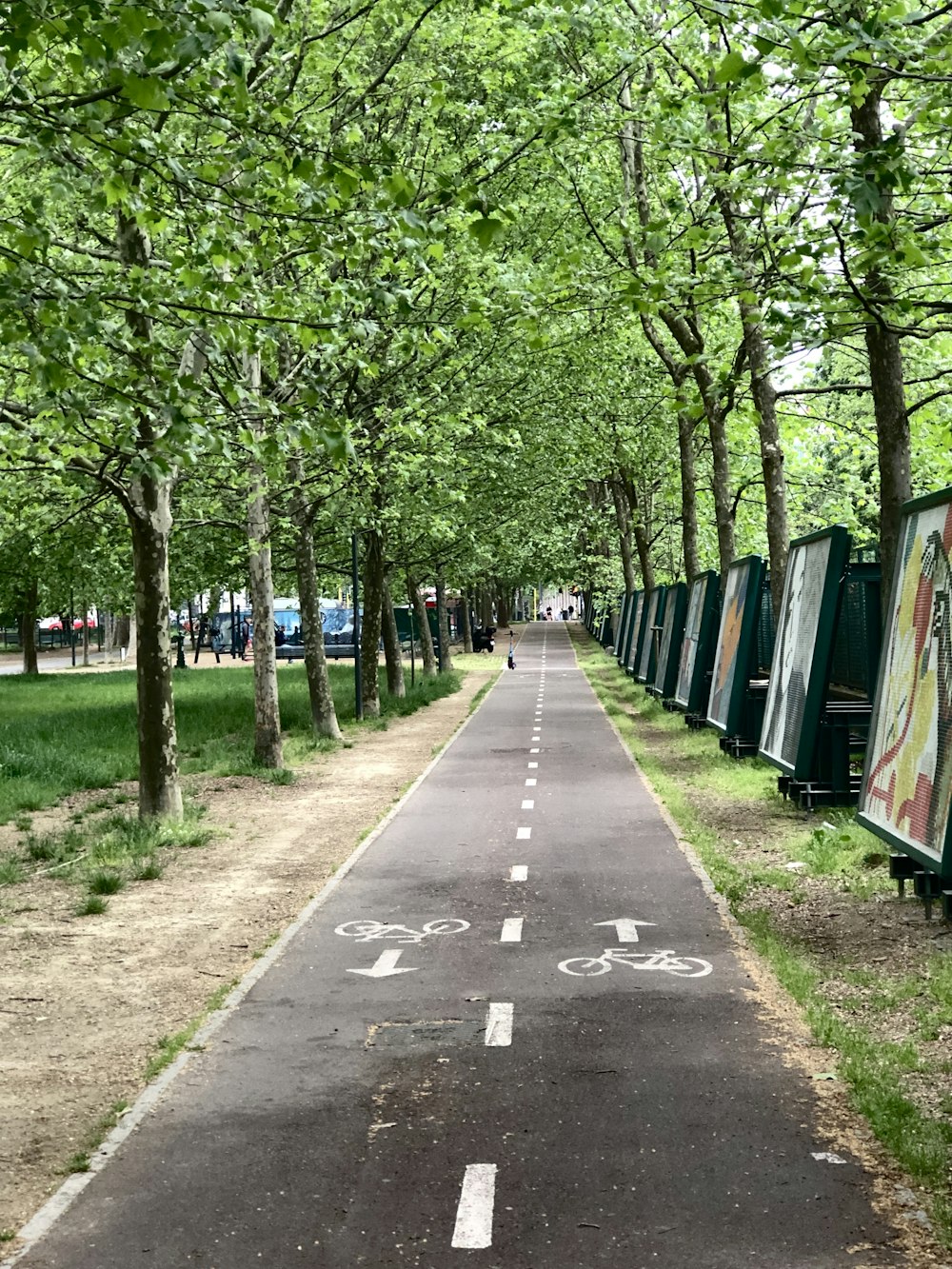 a bike path with trees lining the sides of it