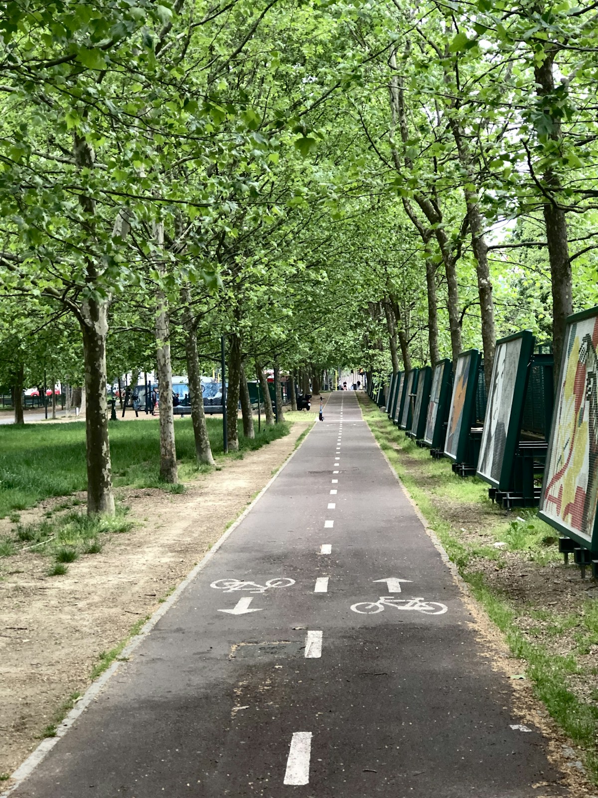 A tree-lined bike path stretching into the distance