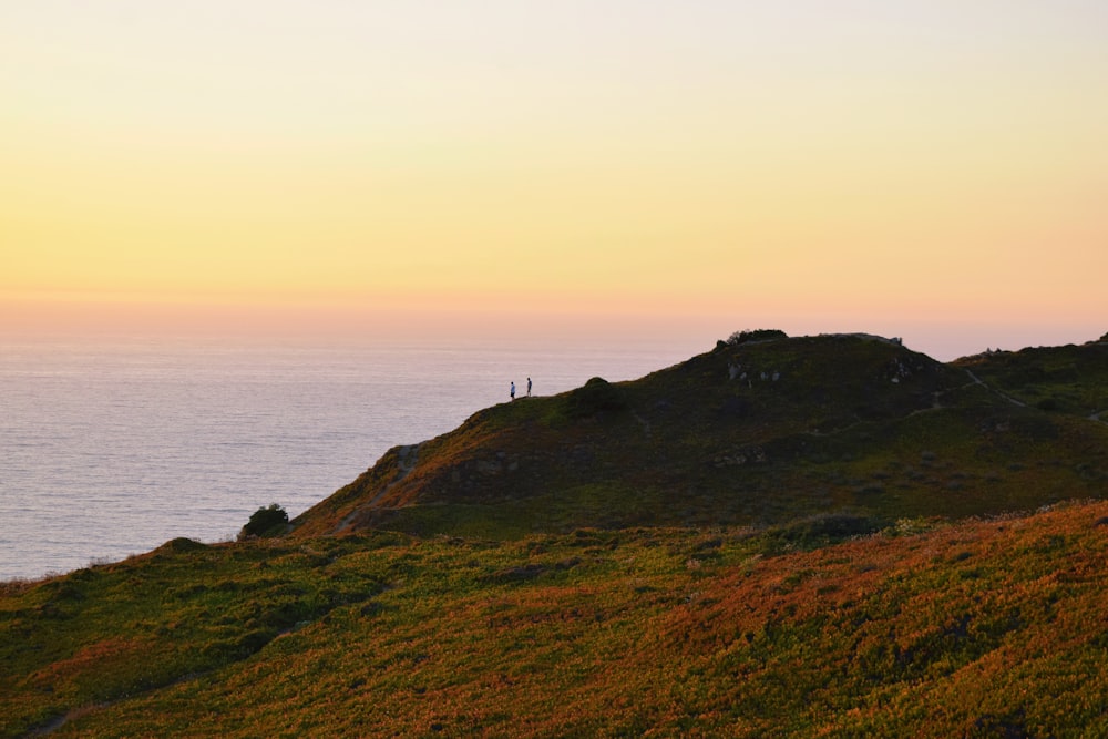 a couple of people standing on top of a lush green hillside