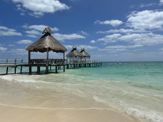 a beach with a pier and thatched umbrellas