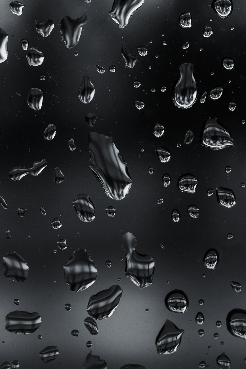 a black and white photo of drops of water