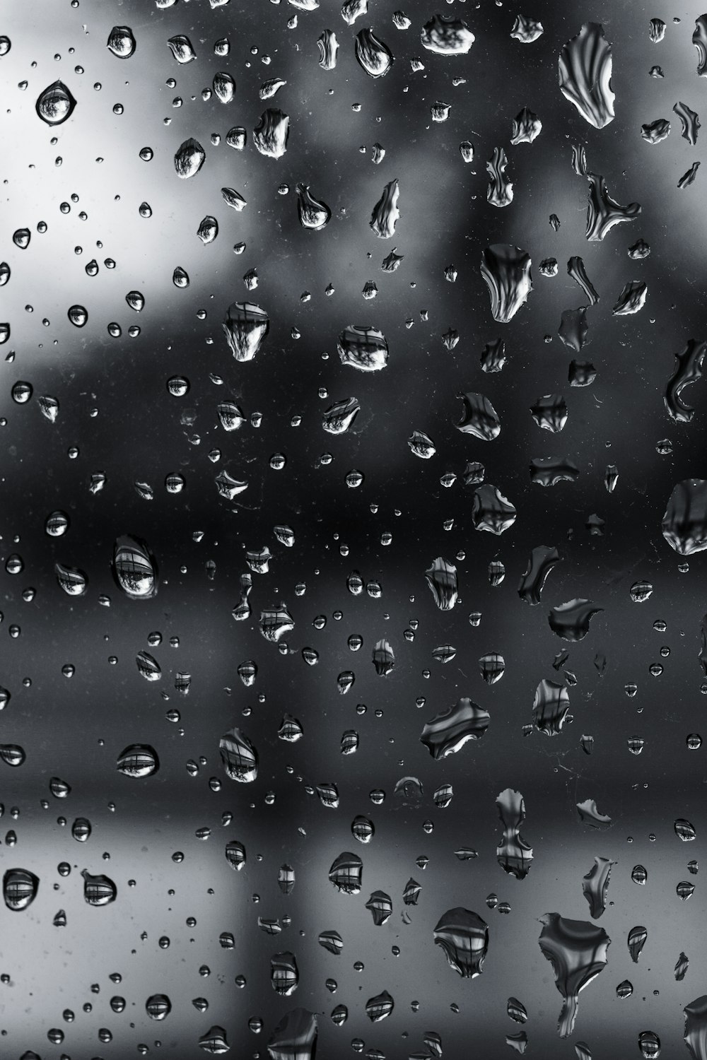 窓の上の雨滴の白黒写真