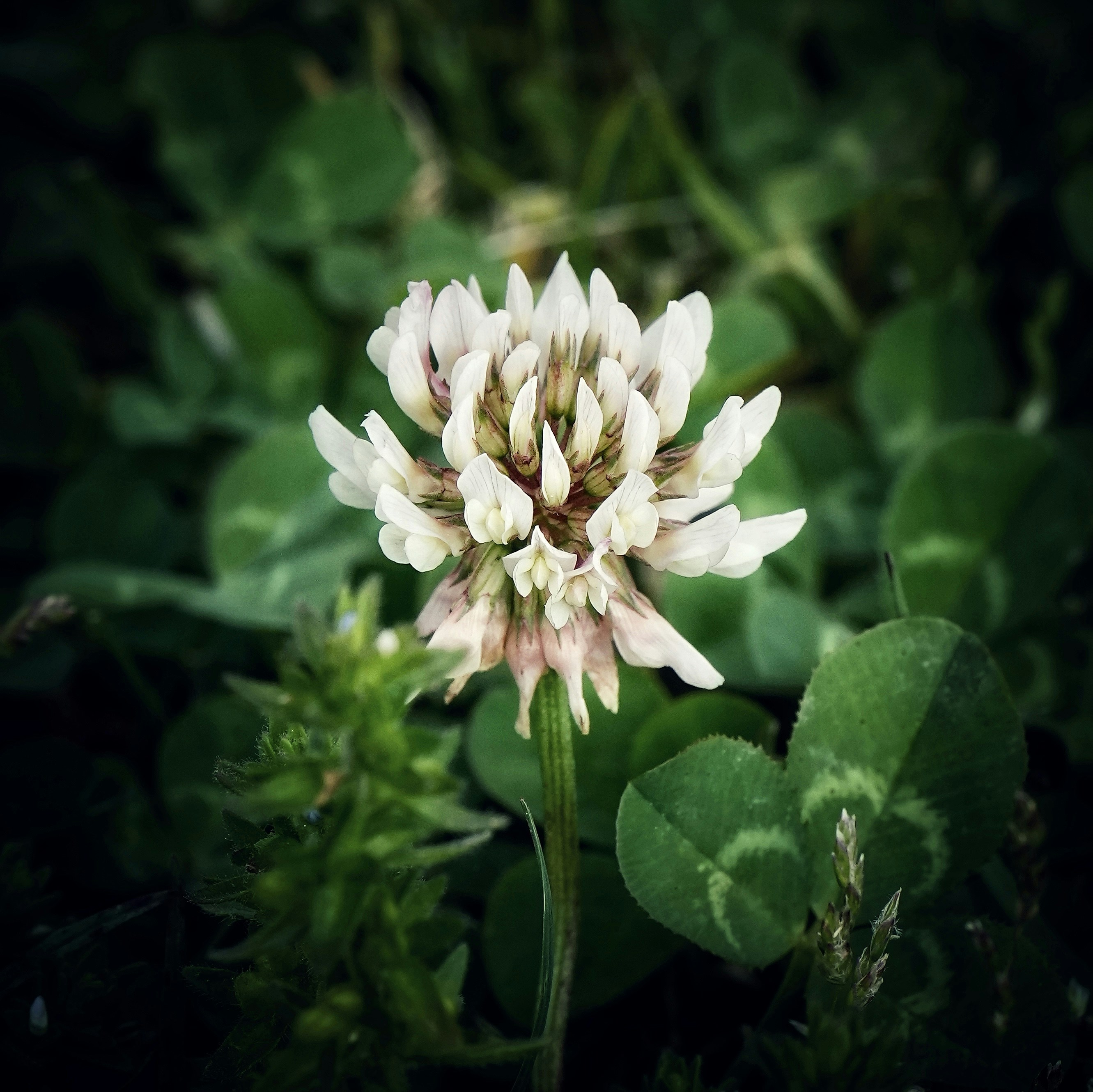 Photo by dr_b
