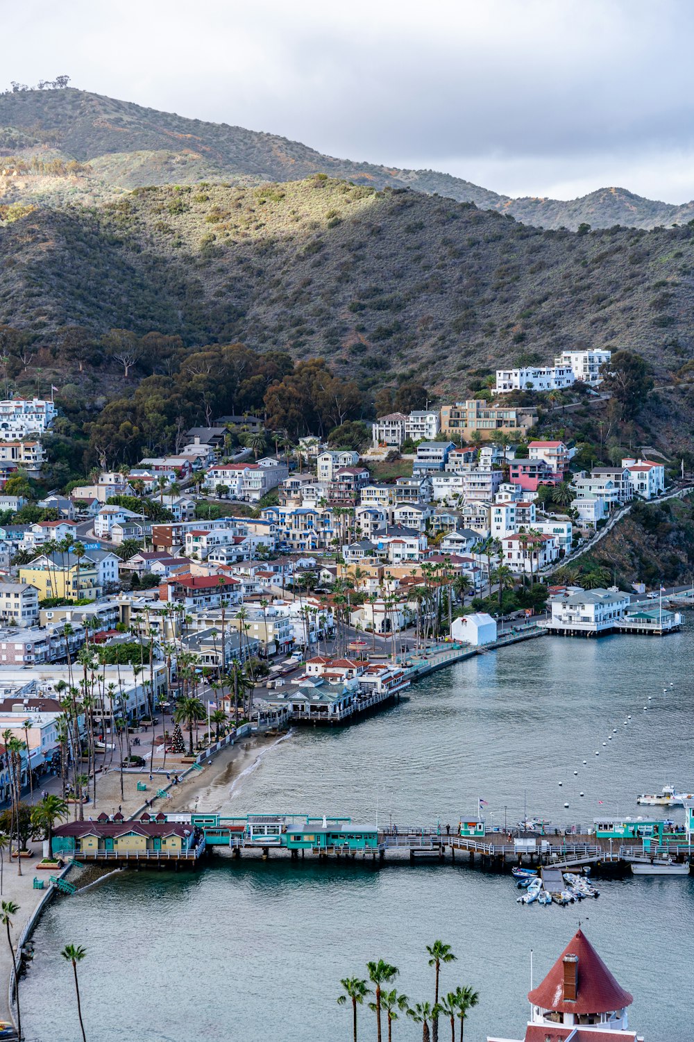 a view of a harbor with a city in the background