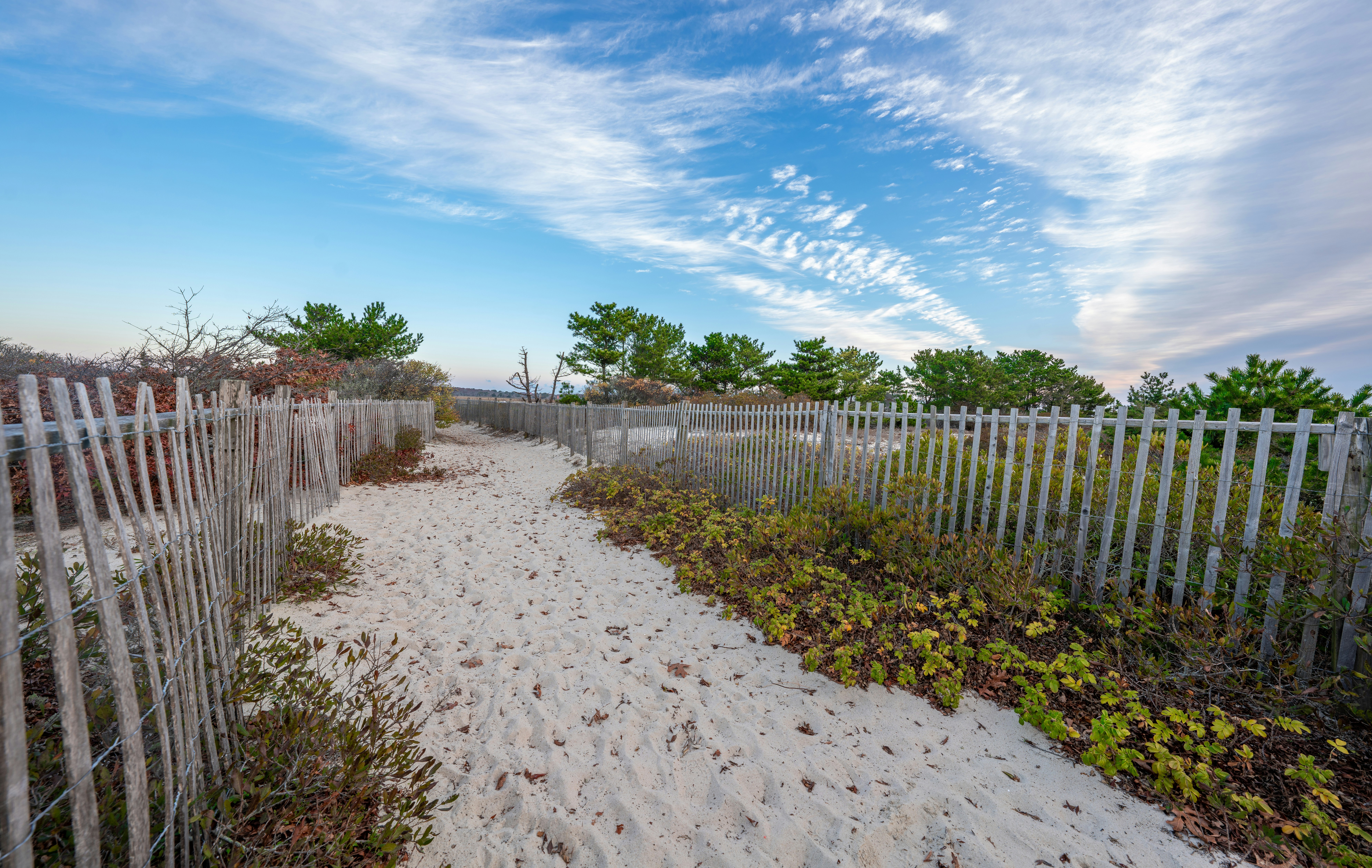 a white picket fence next to a sandy beach, Cape Cod sand path