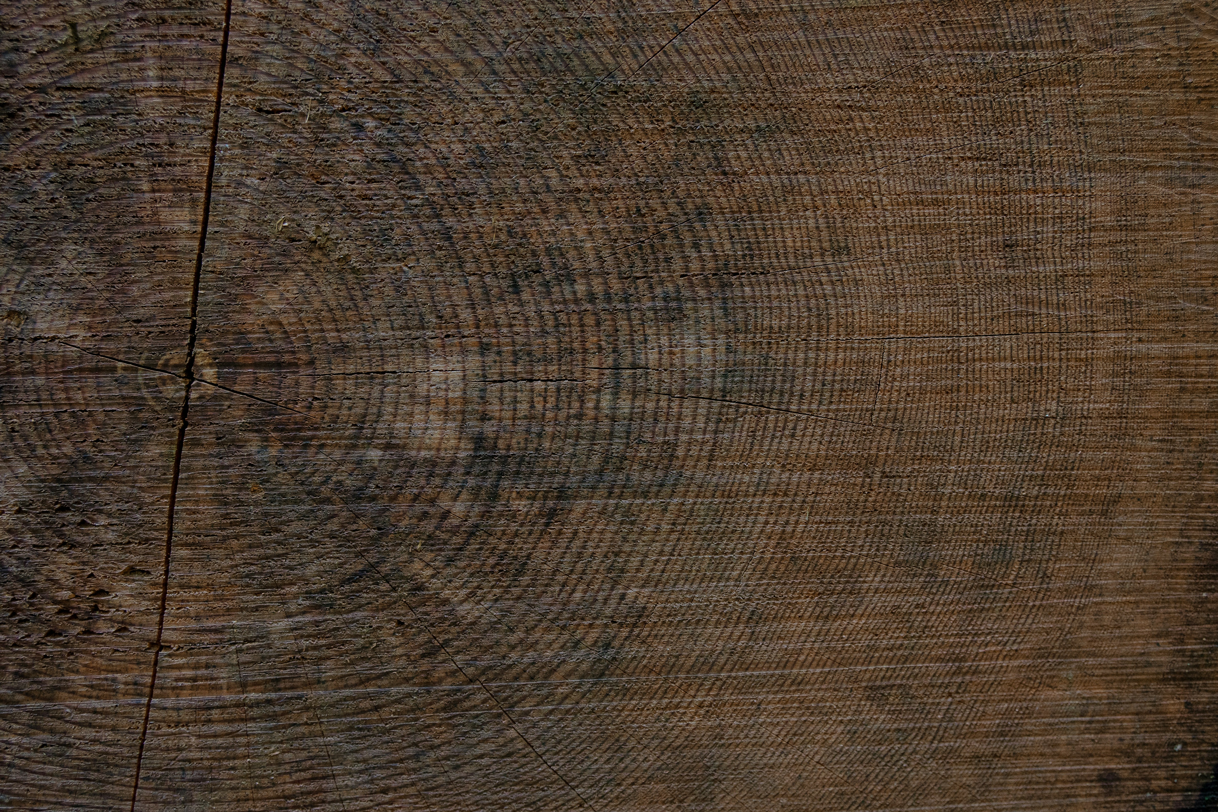 Photo by wanderlustphotography