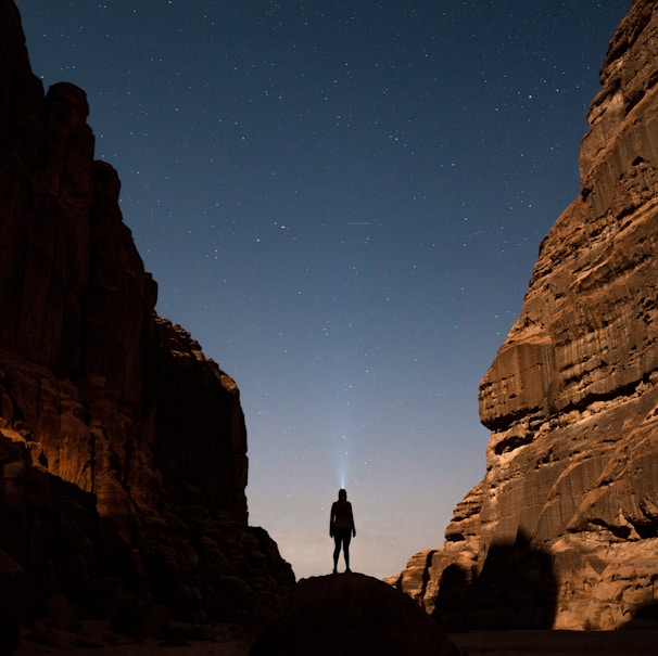 a person standing in the middle of a desert at night