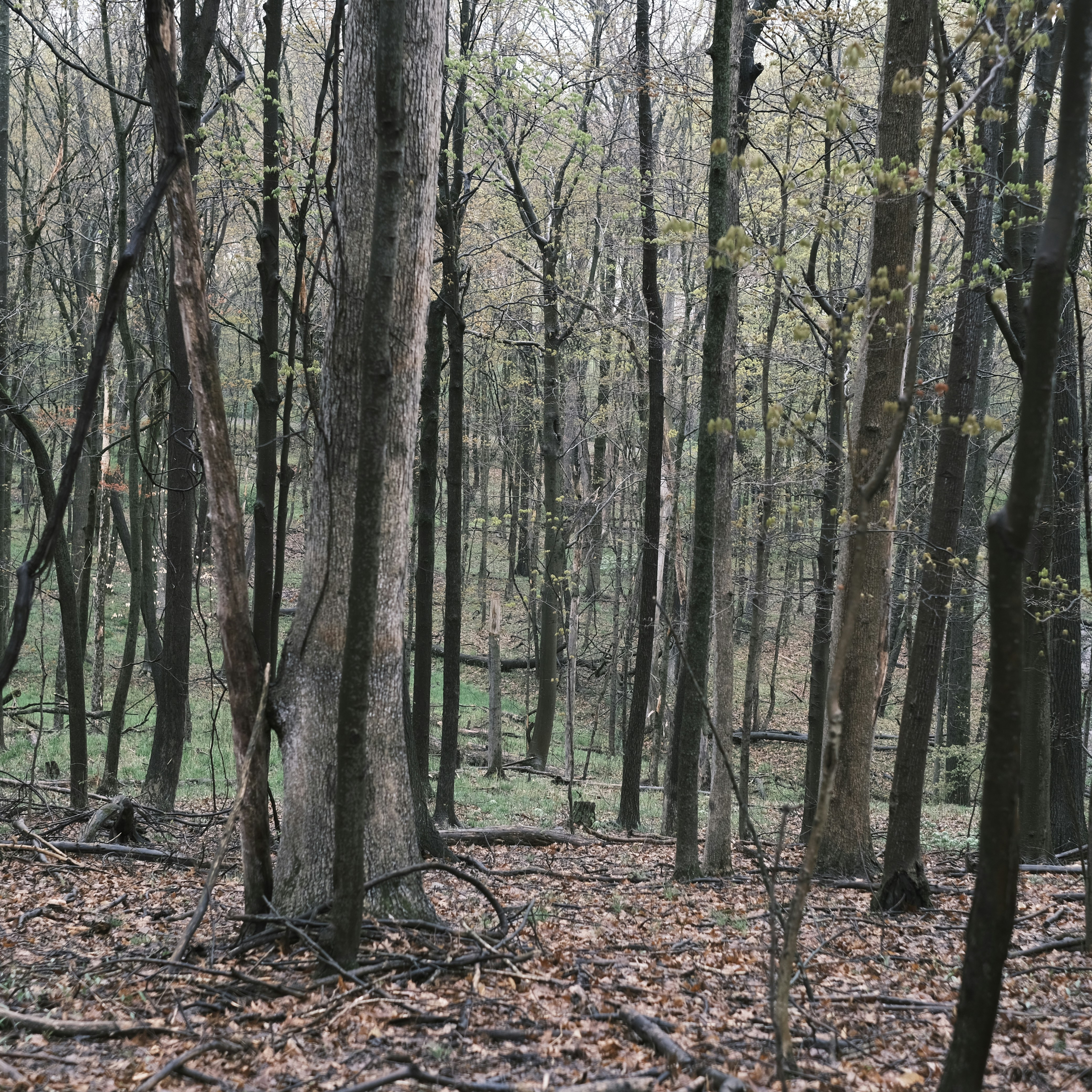 Photo by fuji_photography