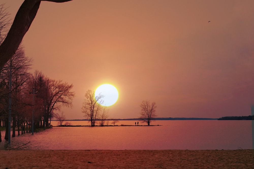 太陽が前景に木々のある湖に沈んでいる