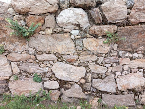 A rustic cob wall with natural textures surrounded by green plants