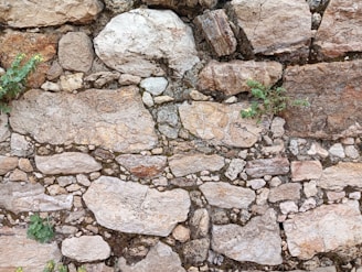 A textured stone wall composed of variously sized and shaped rocks. There are small patches of green plants growing between some of the stones, providing a touch of contrast against the earthy tones. The wall has an ancient or rustic appearance, with visible cracks and weathering.
