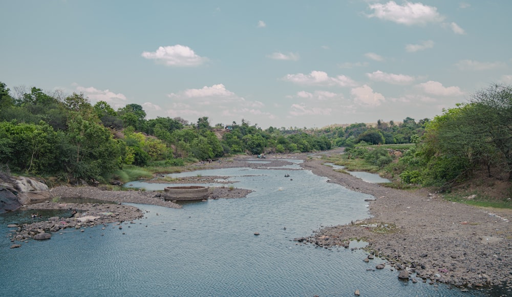 a river running through a lush green forest