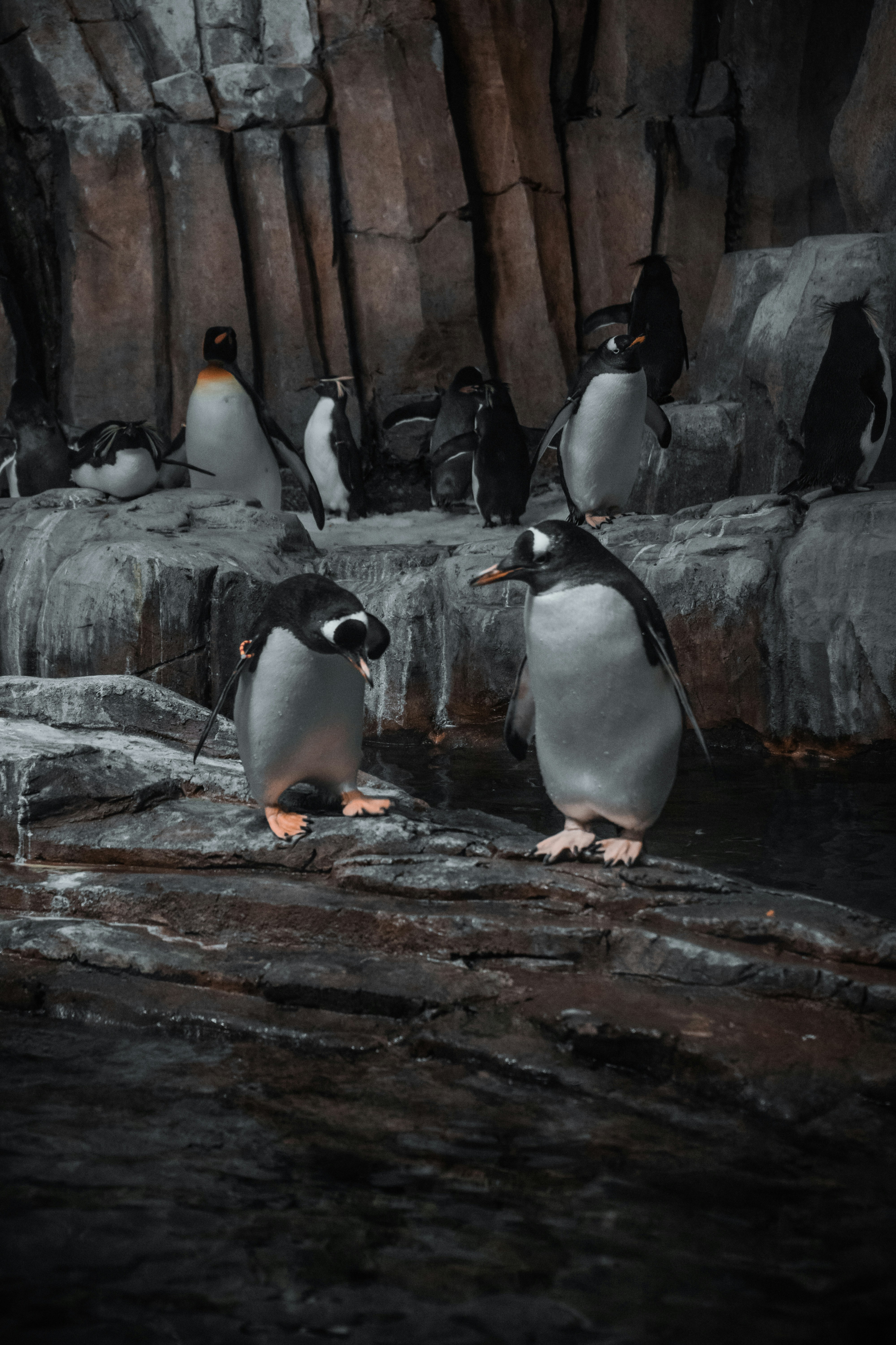 Photo by chris_thornton