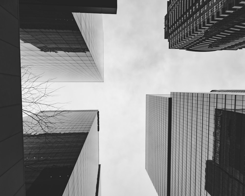 a black and white photo of tall buildings