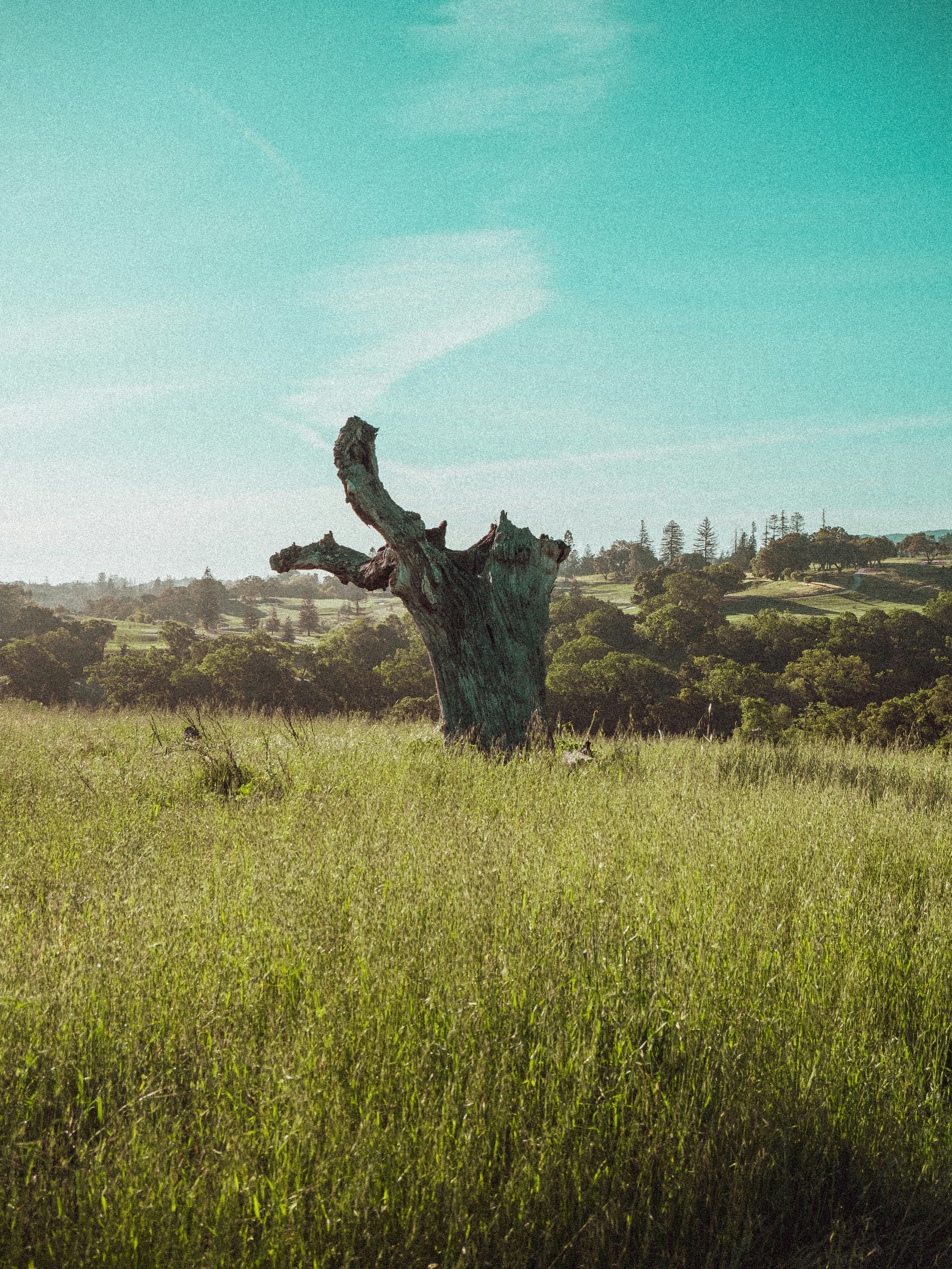 Photo by mbcarterphotography