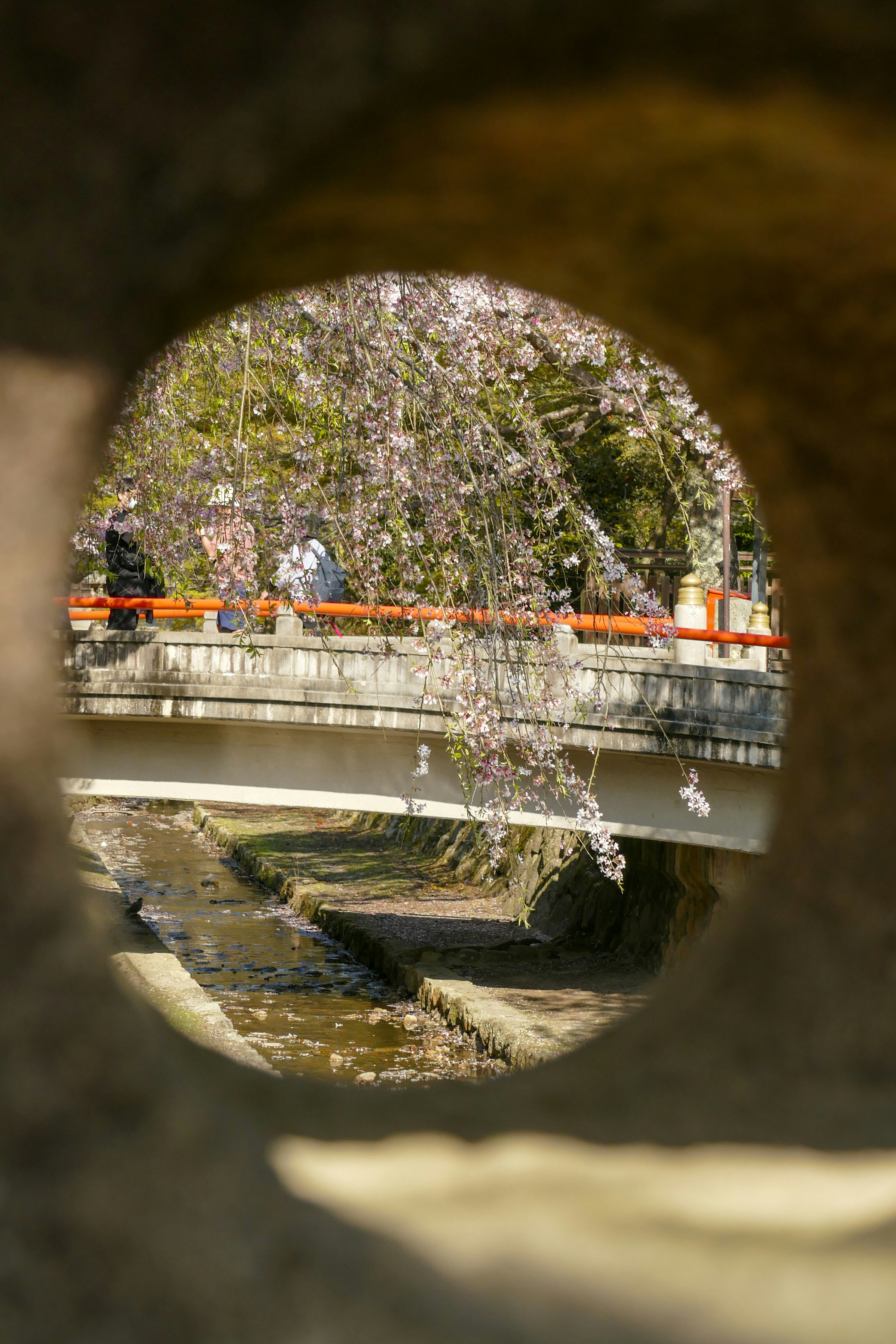 a reflection of a bridge in a mirror