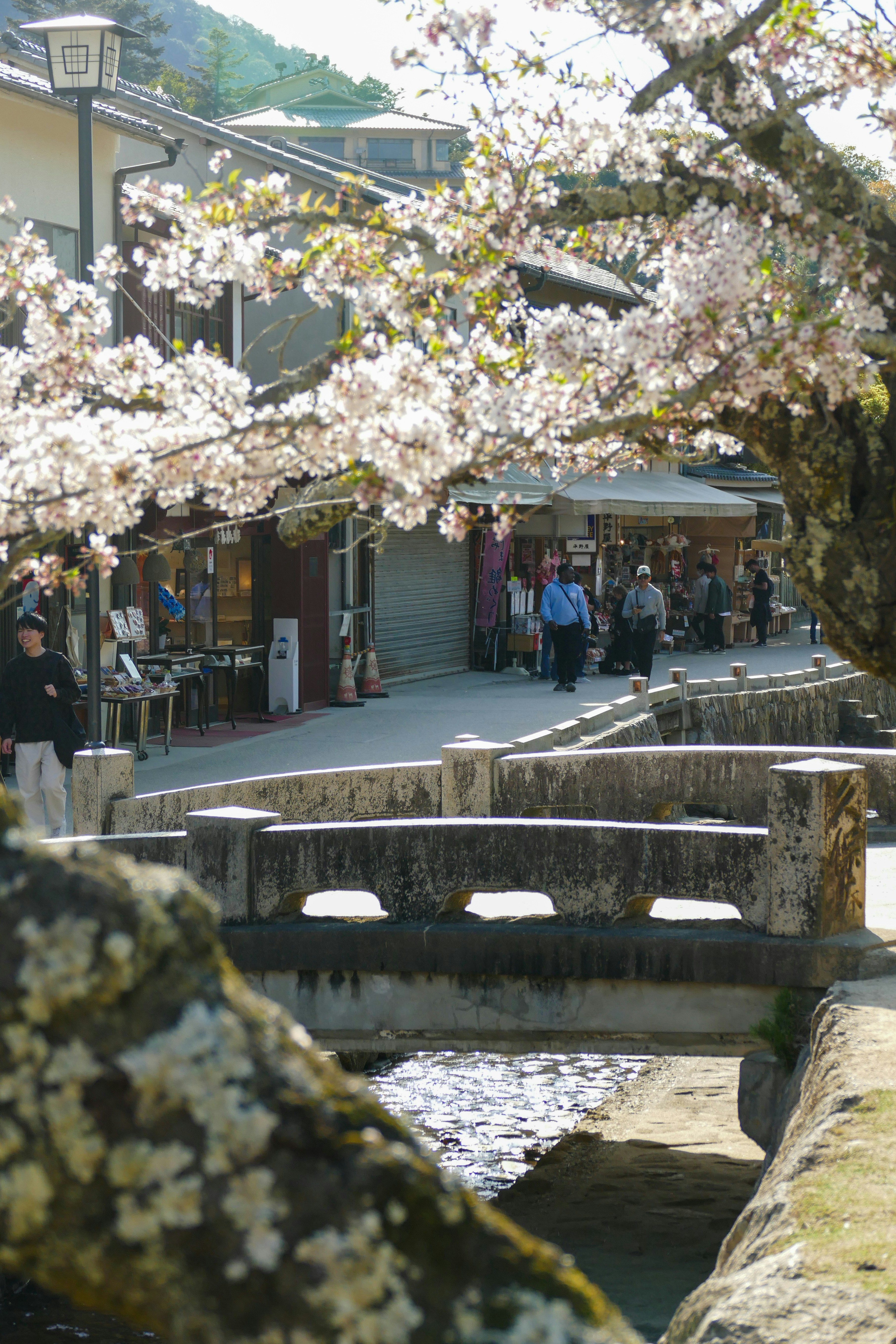 Miyajima Island: Timing Your Visit for Maximum Impact
