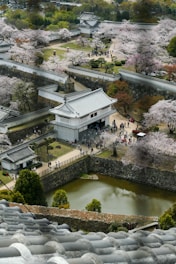 an aerial view of a building surrounded by cherry blossom trees