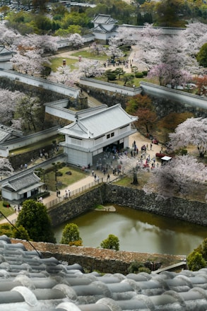an aerial view of a building surrounded by cherry blossom trees