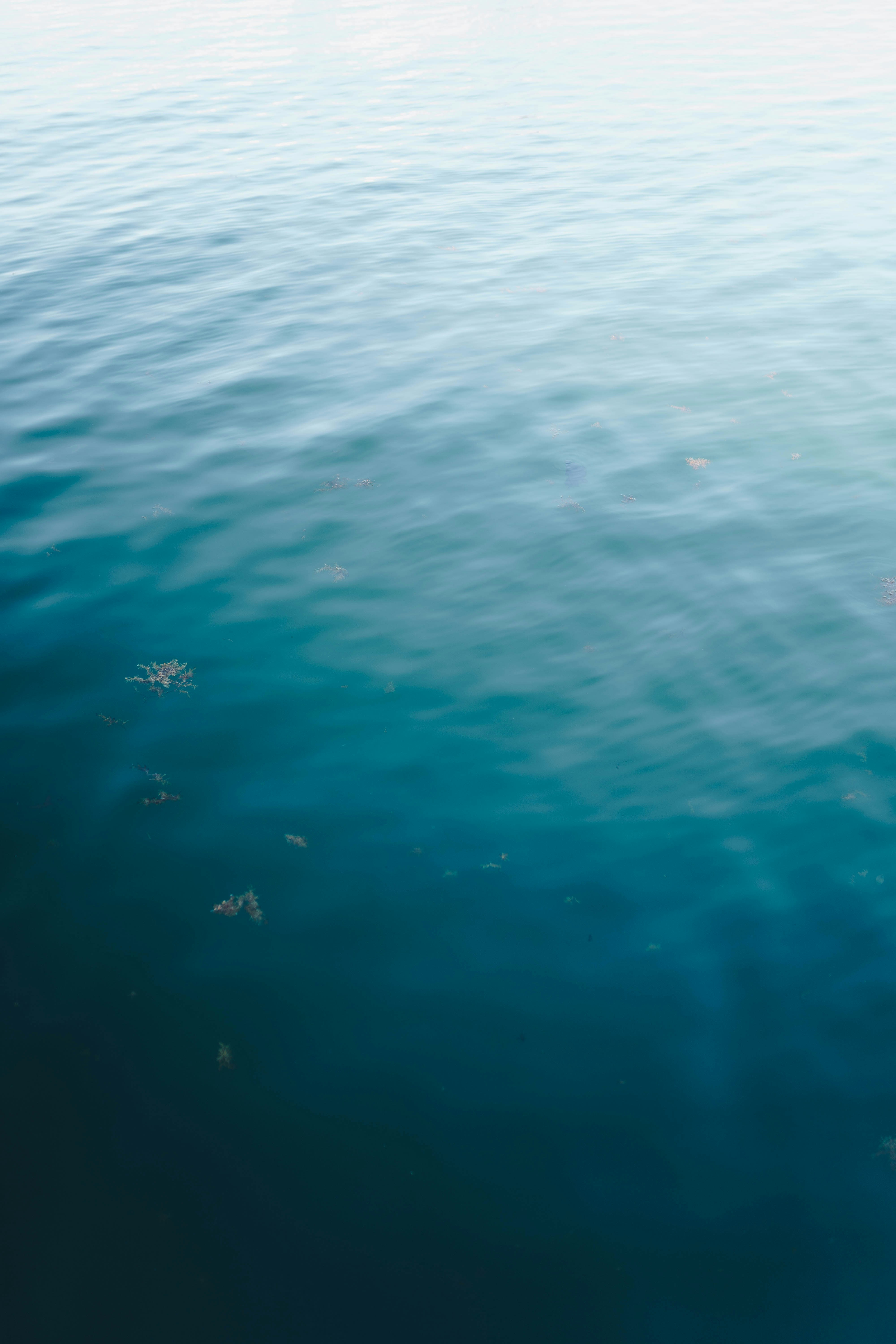 Photo by joellseverino