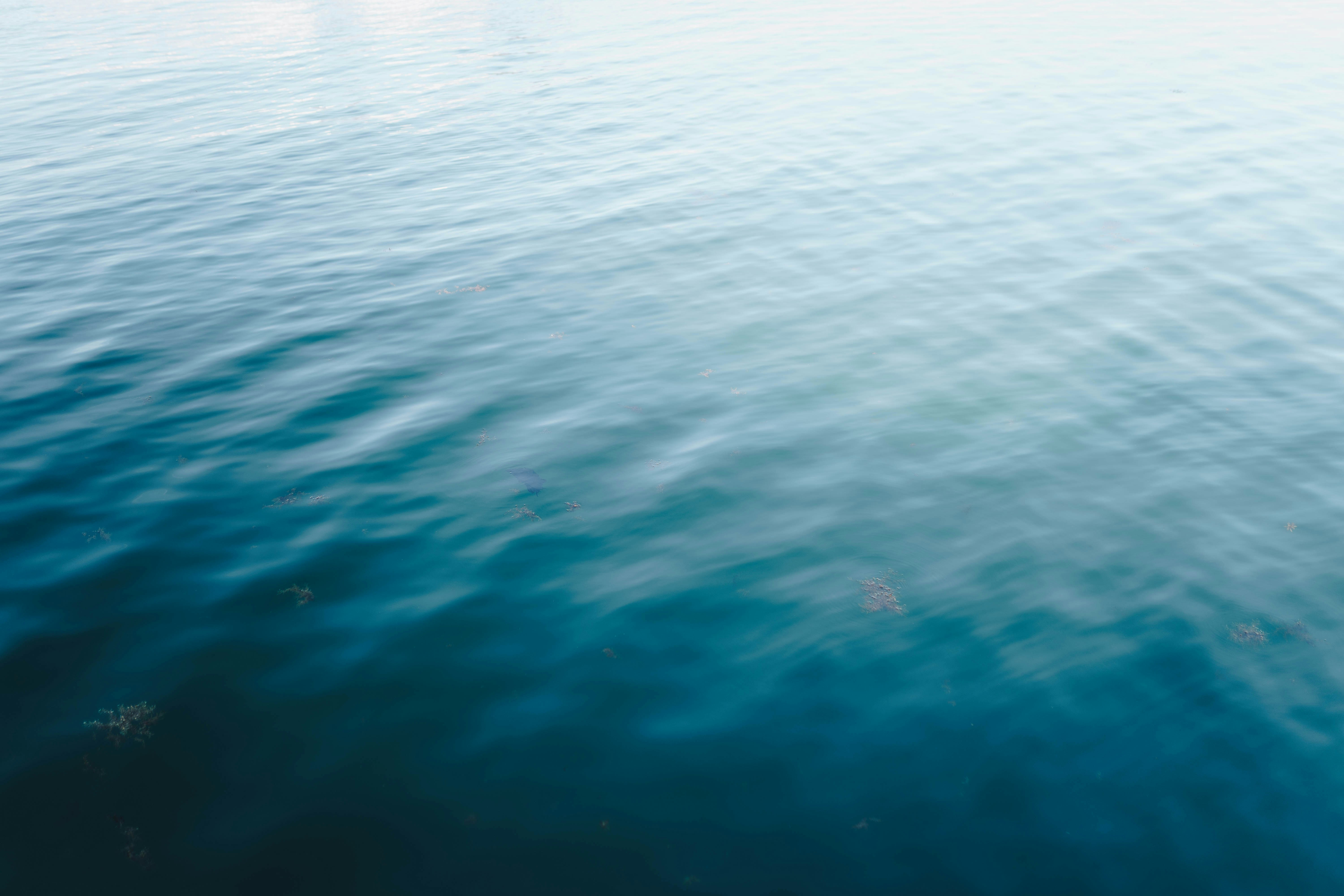 Photo by joellseverino