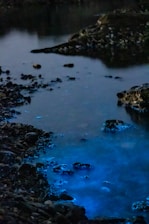 A serene night scene with bioluminescent water glowing a vibrant blue, surrounded by dark, rocky shores. The glow reflects softly on the water's surface, creating a mystical atmosphere.