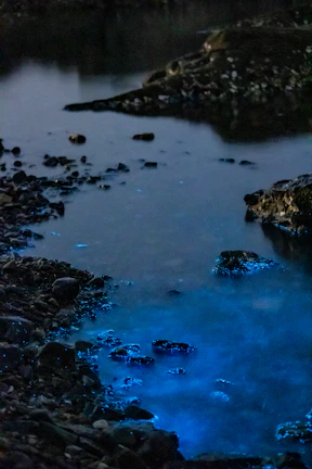 A glowing bioluminescent bay under a starry night sky, with kayakers gently paddling through the sparkling water.