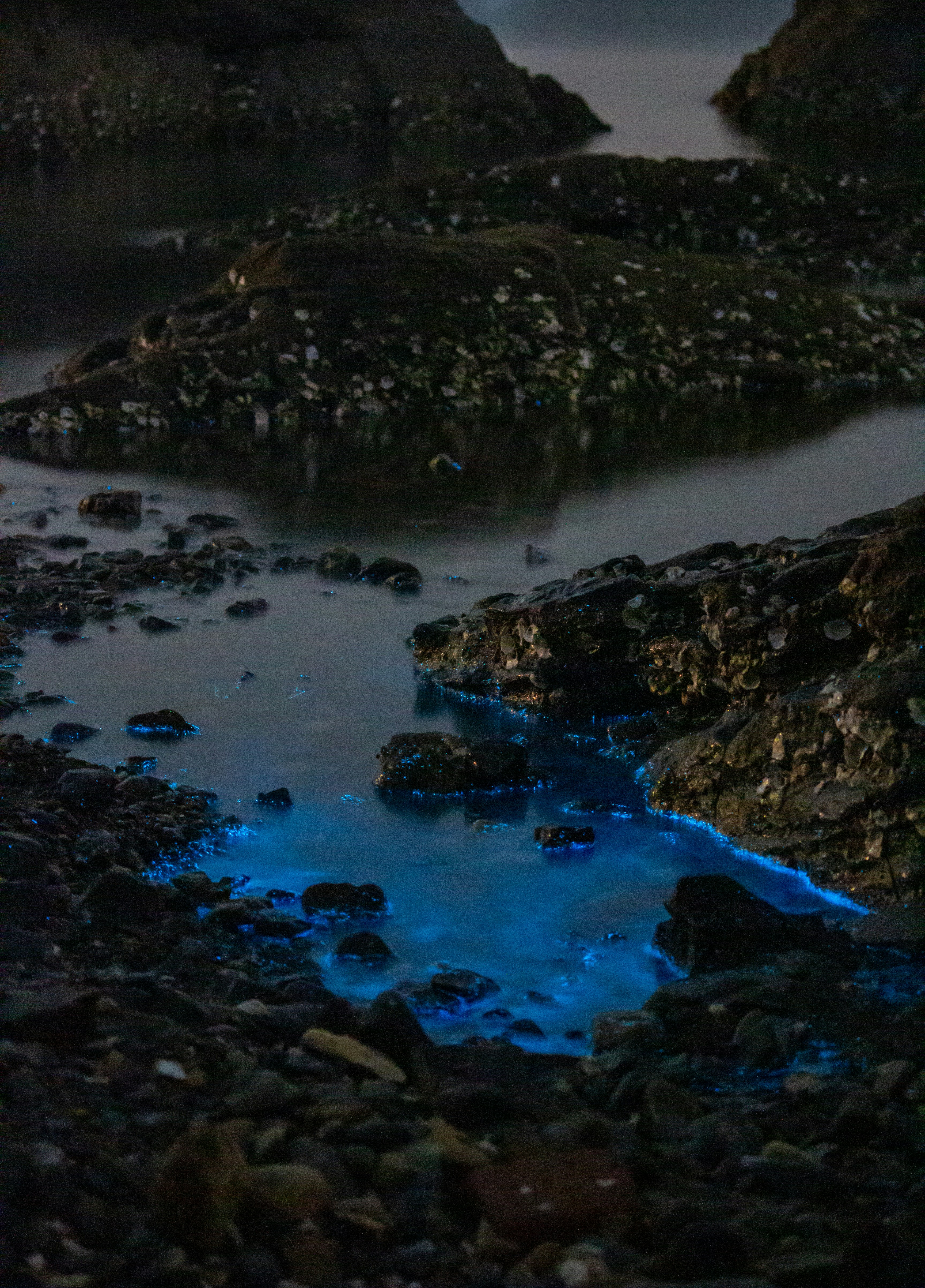 Glowing bioluminescent ocean waves at night, bright blue light in dark water, magical natural phenomenon