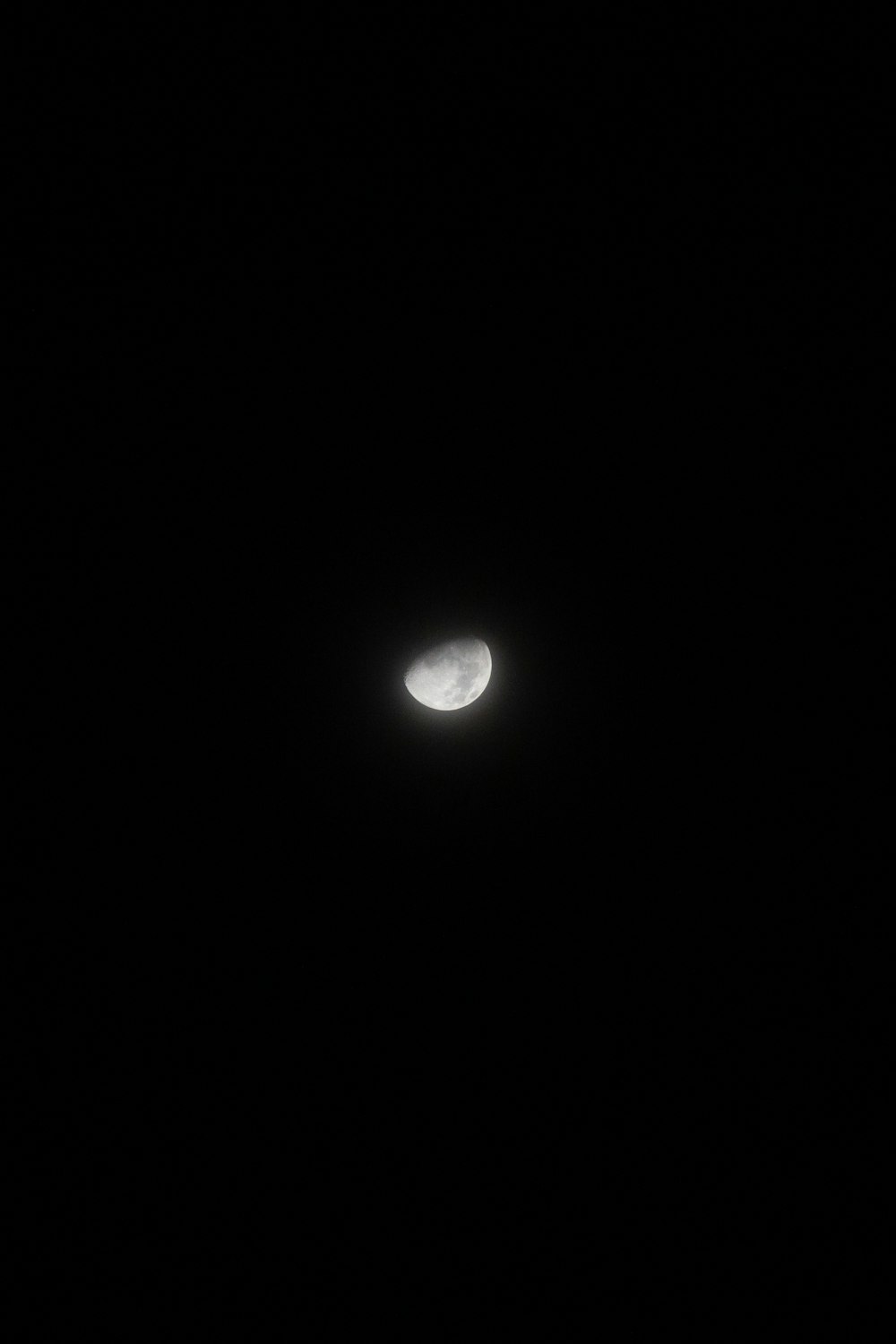 the moon is visible in the dark sky