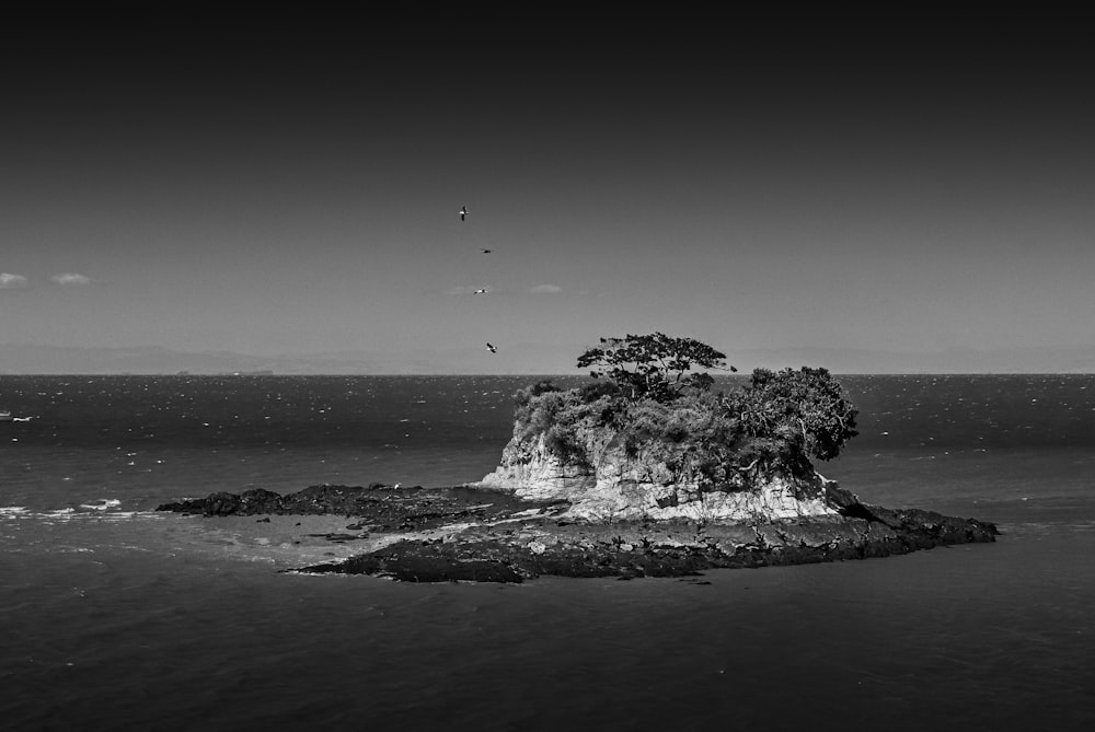 Uma foto em preto e branco de uma ilha no meio do oceano