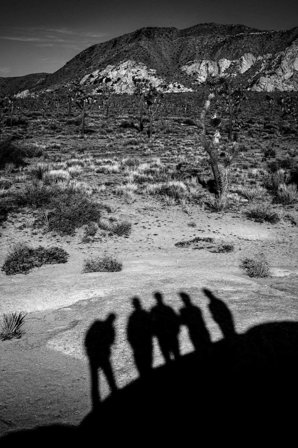 a black and white photo of a group of people